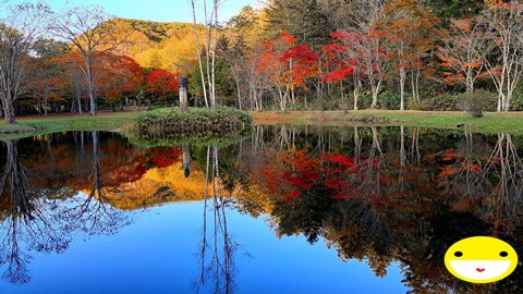 紅葉・水鏡～～♪