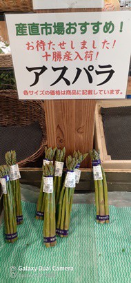 十勝産 野菜で… 健康 & 免疫力up!  アスパラ登場!!