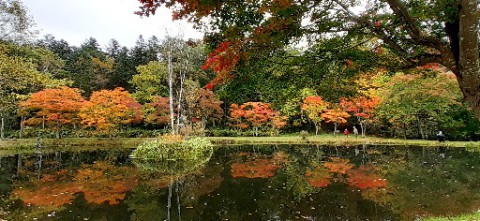とかち 紅葉日和～～①