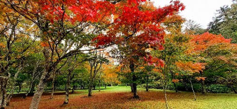 とかち 紅葉日和～～②