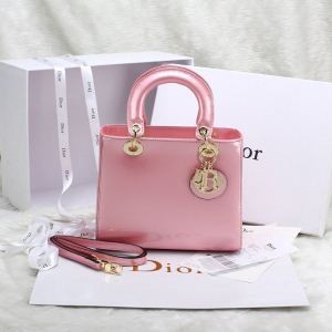 2014春夏 DIOR ディオール 完売品!手持ち&ショルダー掛け6889