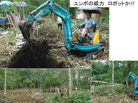 伐採・刈込3　ユンボの威力