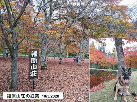 鹿追町　福原山荘の紅葉は終盤だが