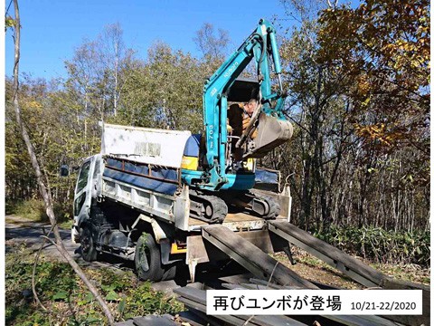 いよいよユンボの登場