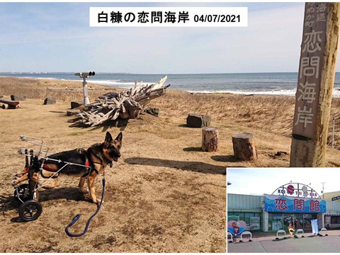 白糠の恋問海岸 ステキな名前の道の駅