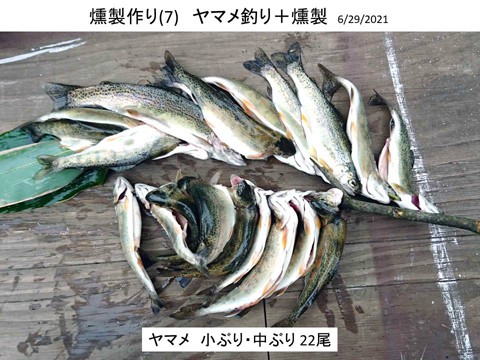 燻製作り(7) ヤマメ釣りと燻製 大成功