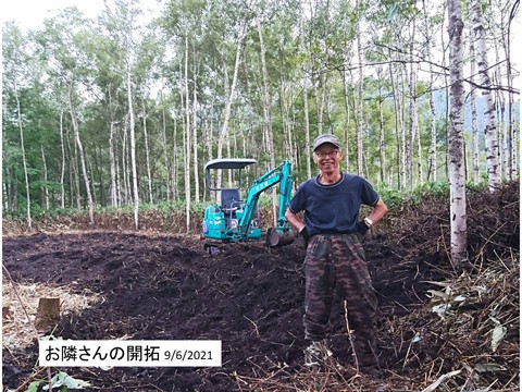 お隣さんの開拓とキクイモ