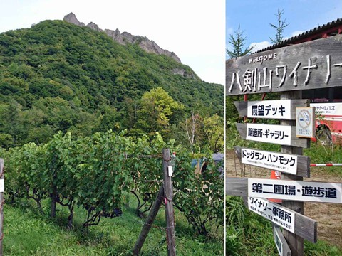 八剣山ワイナリー・焚き火キャンプ場