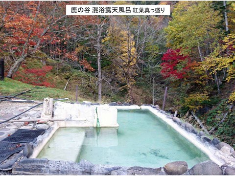 幌加温泉「鹿の谷」の露天風呂