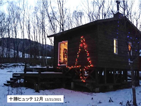 クマとシカのためのX’masイルミネーション