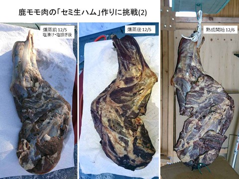 鹿モモ肉の「セミ生ハム」作り (2)