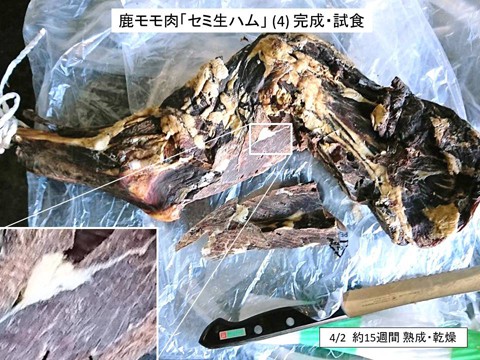 鹿モモ肉のセミ生ハム(4) 完成・試食