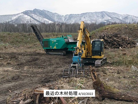 最近の伐採風景 進む機械化