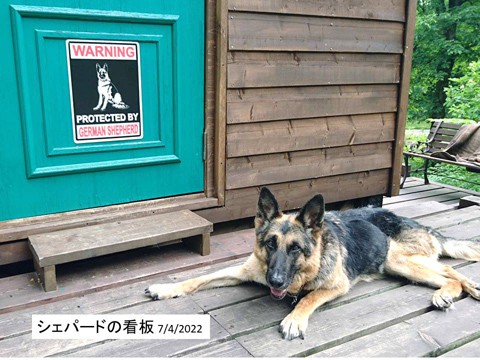 シェパードの看板と愛犬