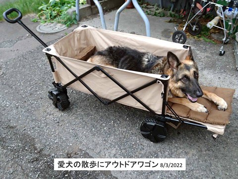 アウトドアワゴン 愛犬の散歩にも