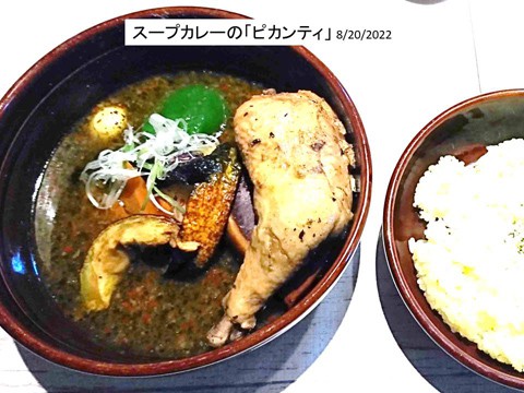 北大近くのスープカレー「ピカンティ」