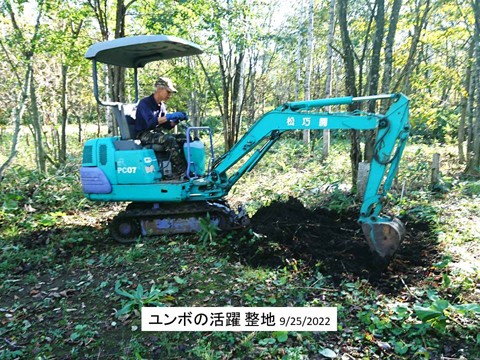 ユンボが整地で大活躍