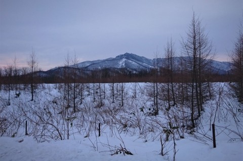 夕張と十勝清水の積雪量を比べてみた