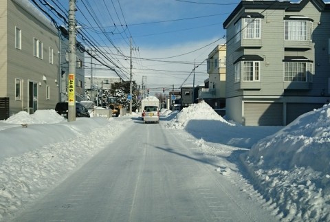 要介護犬の雪散歩 車道利用で勘弁してもらう