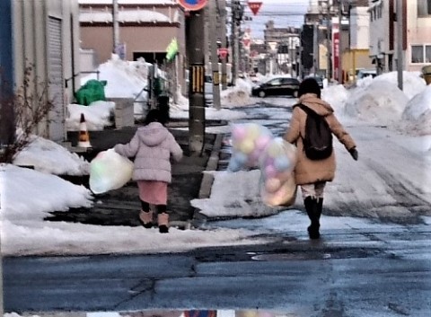 ひな祭りの愛犬散歩