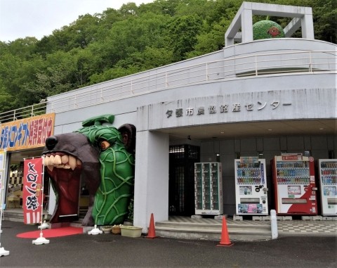 夕張メロンの季節 気になる値段は?