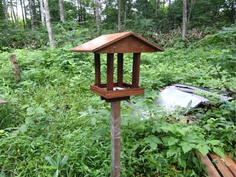 鳥のエサ台(2) 使用開始