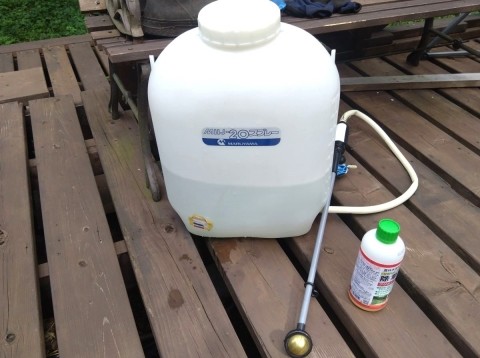 いよいよ除草剤を試すことにした